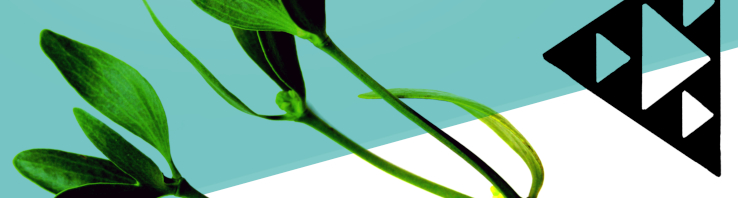 banner_gralak