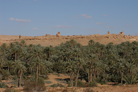 The fort of Gheriat el-Garbia and its oasis, seen from the west.