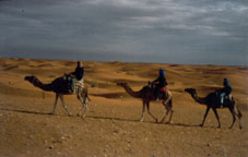Exkursion 1998. Auf dem Ritt nach Ksar Rhilane (TN)